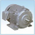 Hitachi Electric Motor