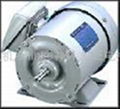 Fuji three-phase induction motor