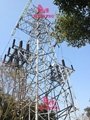 500KV double circuit tower with surge arrester supports 2