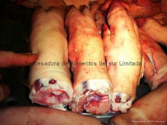 Frozen Pork Front Feet and Pork Hind Feet for Sale