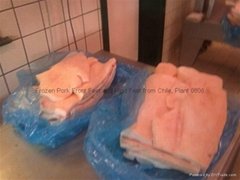 Frozen Pork Back Fat without skin for export