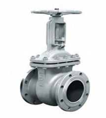 GOST Cast Steel Gate Valve with ISO9001 and Low Price