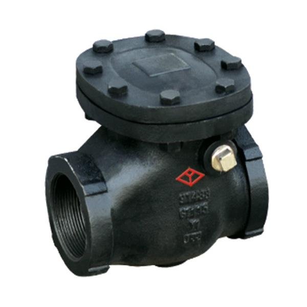 API Cast Steel Swing Check Valve with Low Price 4