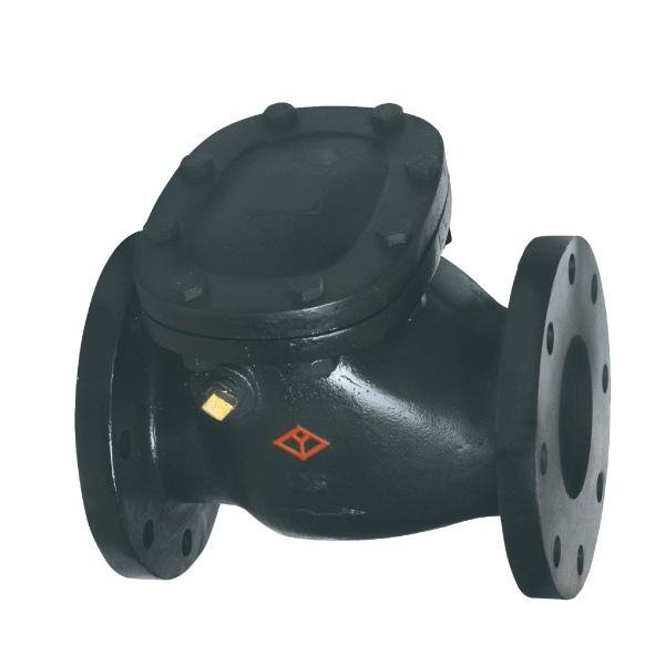 API Cast Steel Swing Check Valve with Low Price 5