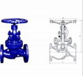 Flanged Globe Valve J41h-16 3