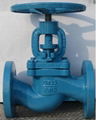 Flanged Globe Valve J41h-16 5