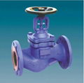 Flanged Globe Valve J41h-16 4