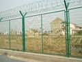 All the year round supply wire mesh fence 4