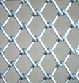 garden decorative chain link fence 2