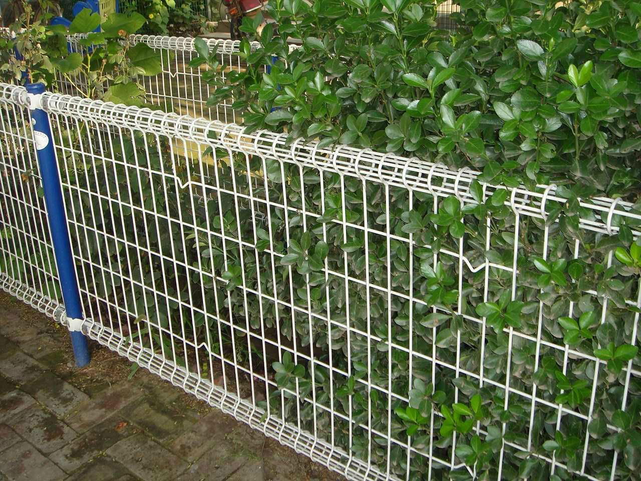 Garden fencing 4