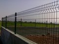 Green Plastic covered wire fencing China supplier 4