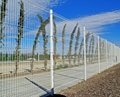 Green Plastic covered wire fencing China supplier 5