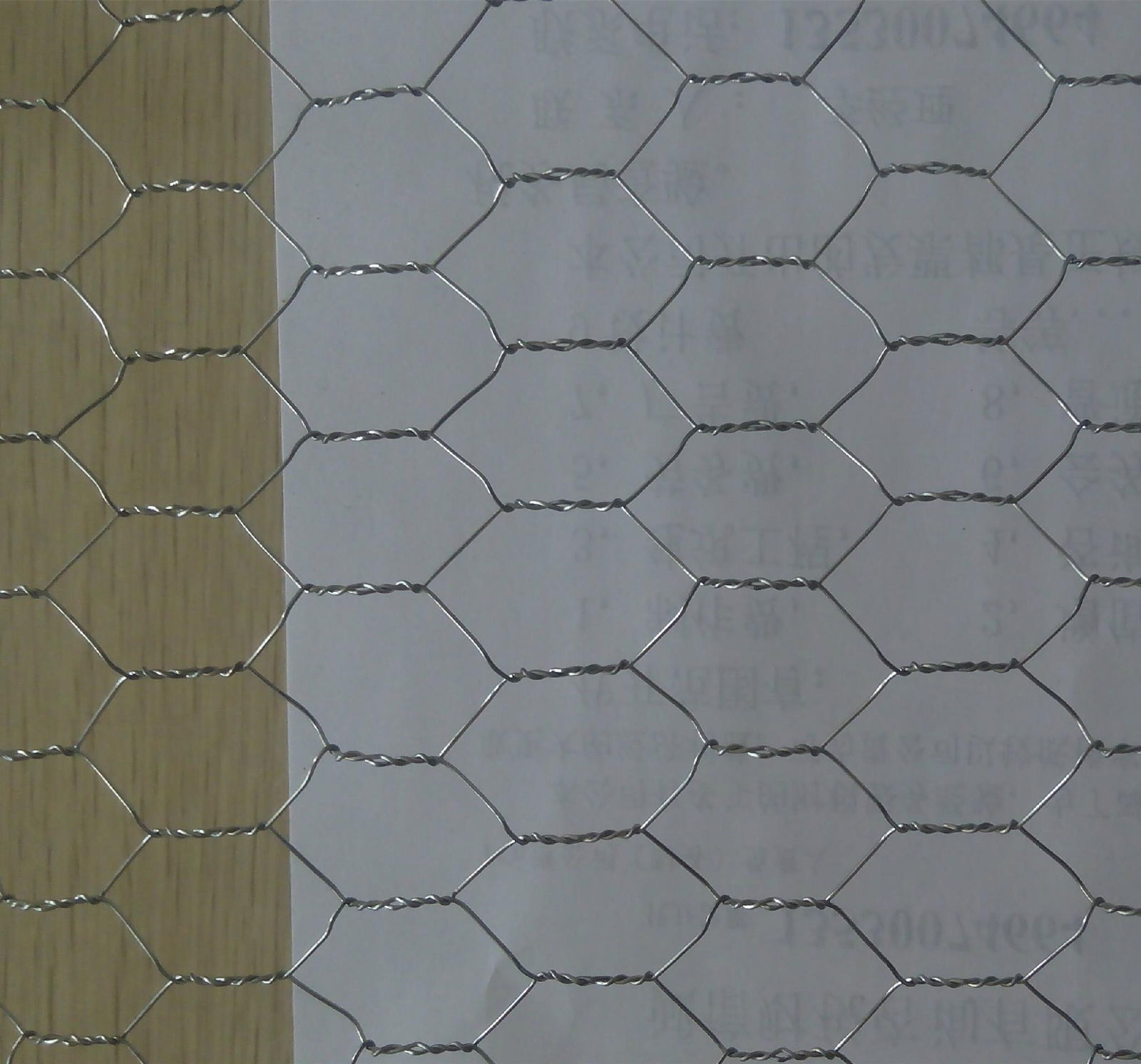 Cheap Galvanized Chicken wire netting China supplier 2