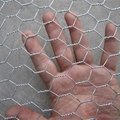 Cheap Galvanized Chicken wire netting China supplier 1