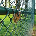 garden decorative chain link fence 1