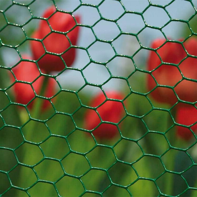 Cheap PVC coated Hexagonal mesh Chicken wire netting