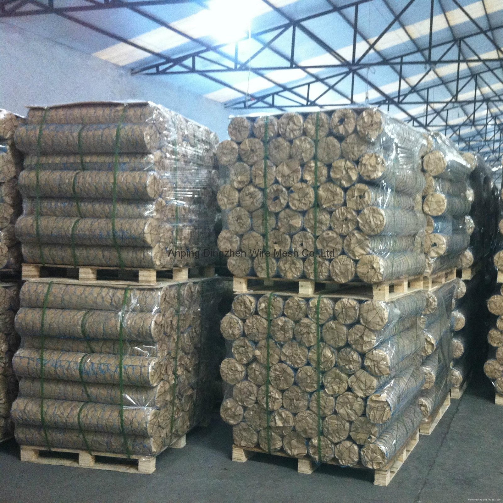 China factory supply low price chicken wire poultry wire chicken wire mesh 3