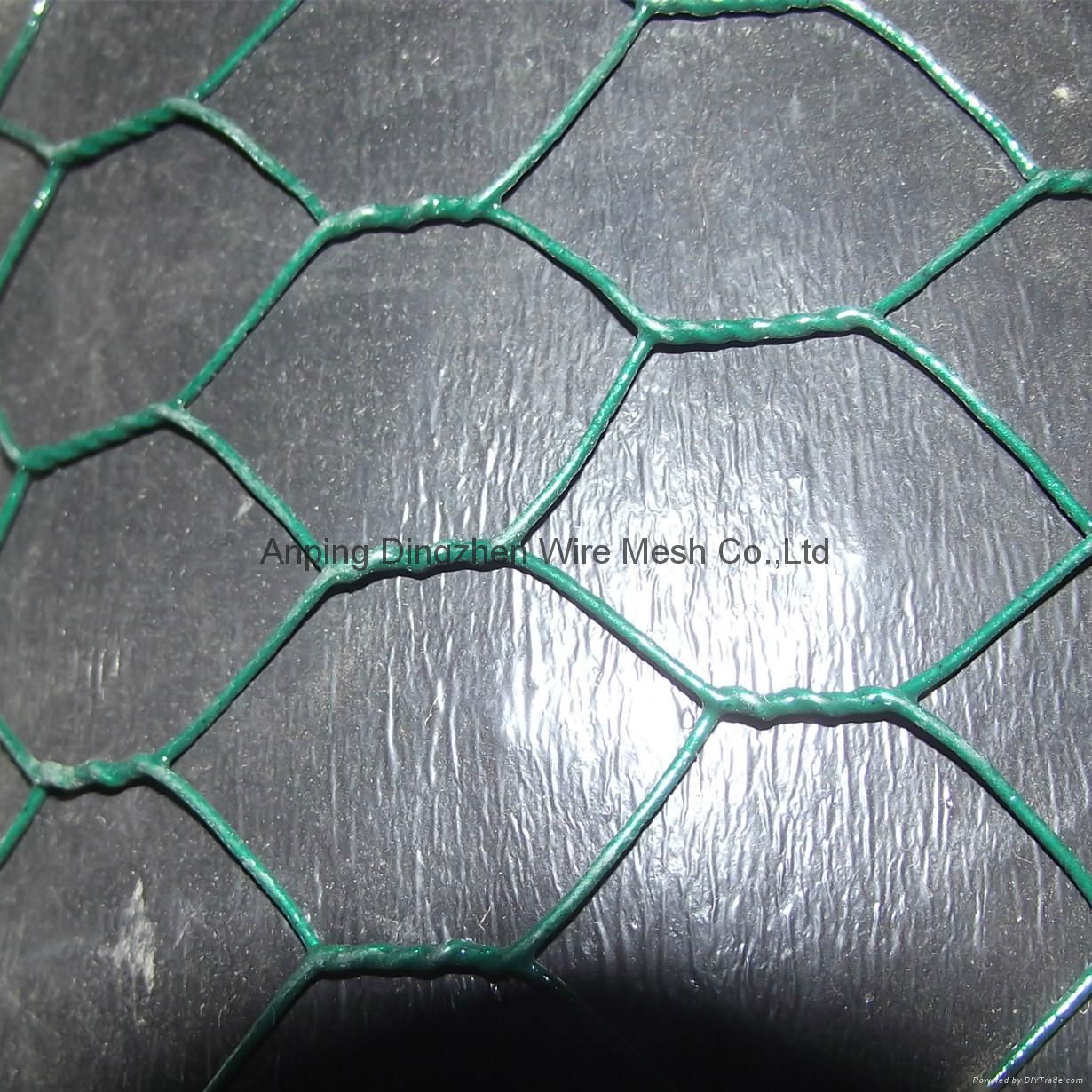 Green plastic coated Chicken wire fence low price