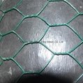 Green plastic coated Chicken wire fence