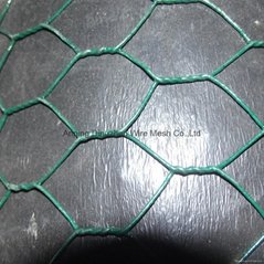 Green plastic coated Chicken wire fence low price