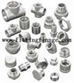 Bsp NPT Threaded Screwed Hydraulic Stainless Steel Pipe Fitting 1