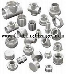 Bsp NPT Threaded Screwed Hydraulic Stainless Steel Pipe Fitting