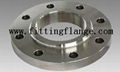 Forged Threaded Welding Asme ANSI GOST Plate Pl Flanges 2