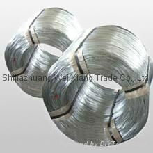 Galvanized Wire