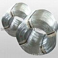 Galvanized Wire 1