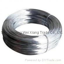 Galvanized Wire 2