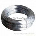 Galvanized Wire 2