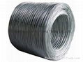 Galvanized Wire 4