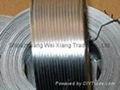 Flat wire 1