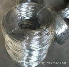 Elctro Galvanized Wire 5