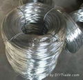 Elctro Galvanized Wire 5