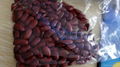 non-GMO Red Kidney Beans high quality best price 2