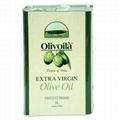 0.5 - 18 L olive oil tinplate cans with plastic cap  1