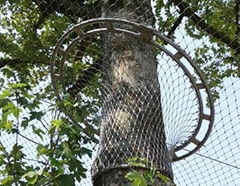 Stainless Steel Aviary Netting for Bird