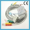 Mortara 10 lead EKG cable with leadwires