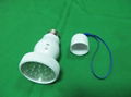 Double Functional LED Lamp 3