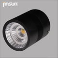 SAA Clinder light cob led sufaced