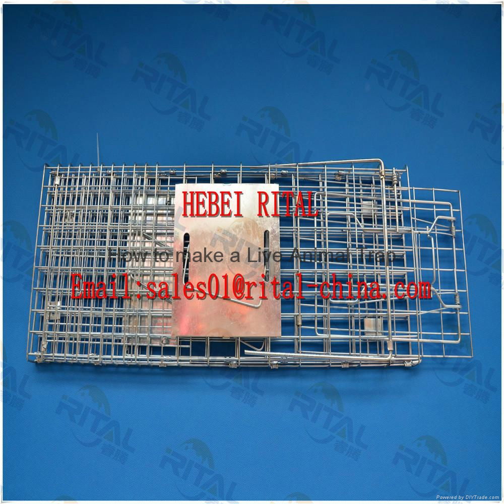 Live Animal Trap Cage for Squirrel Mink Weasel Cat Dog Rat 3