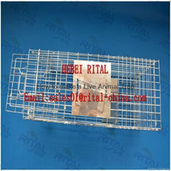 Live Animal Trap Cage for Squirrel Mink Weasel Cat Dog Rat