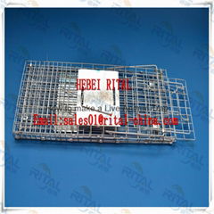 Collapsible Make Live Animal Bird Cage Trap Cage with two entry Diffrent Sizes