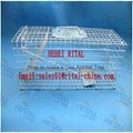 Collapsible Make Live Animal Bird Cage Trap Cage with two entry Diffrent Sizes 3