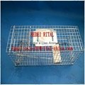 Collapsible Make Live Animal Bird Cage Trap Cage with two entry Diffrent Sizes 5
