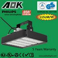  DLC UL TUV Approval Multi-function IK10 Flood Lamp