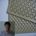 PERFORATED METAL 4