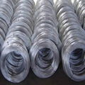 GALVANIZED IRON WIRE 2