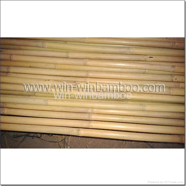 bamboo canes for farming supports garden trees supports decorations